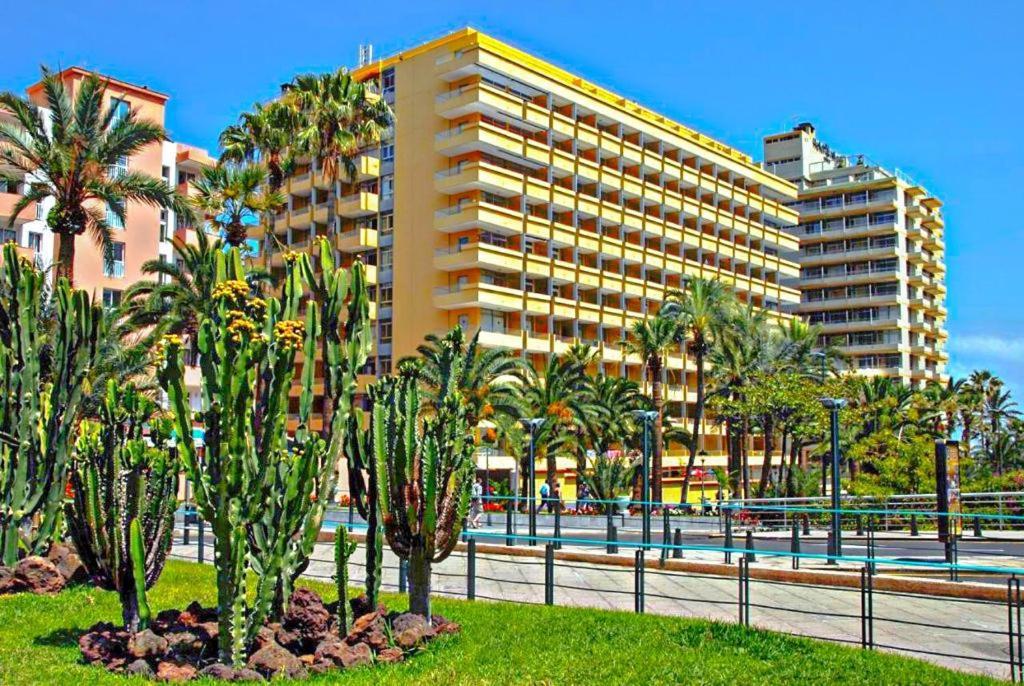 Cozy studio in Martiánez Puerto de la Cruz  Exterior foto